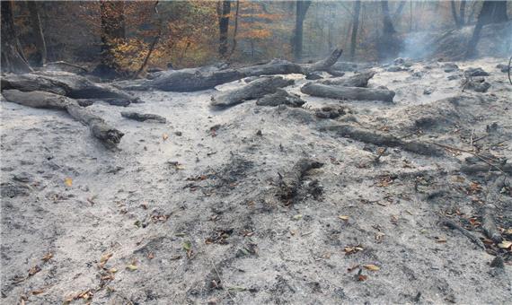 تصویب 10 میلیارد ریال اعتبار برای مقابله با آتش در پارک ملی گلستان