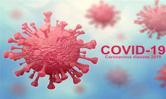 9 وسیله مهم که احتمال انتقال ویروس کرونا را دارند
