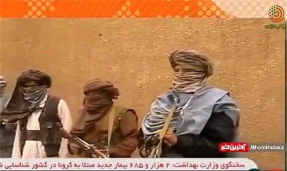 «طالبان» از عوامل ایجاد تا دلایل ماندگاری