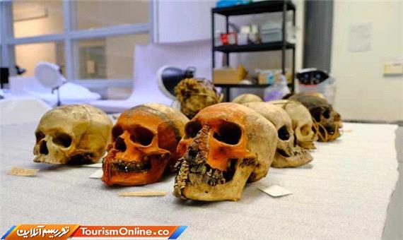 حذف نمایش بقایای انسانی در یک موزه