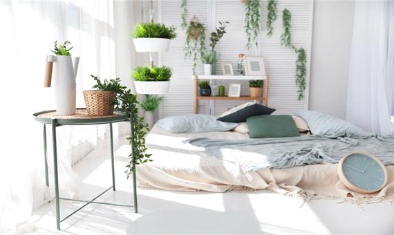 12 راه ساده برای دیزاین گیاهان مخصوص آپارتمان در اتاق خواب