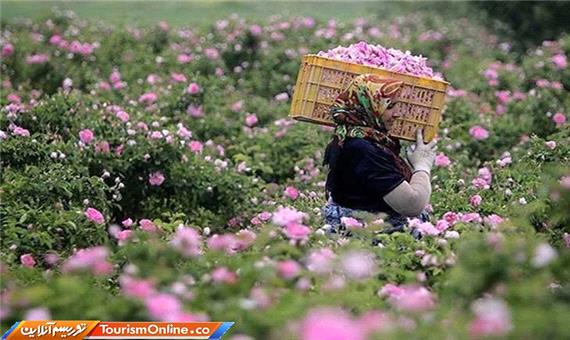 باغ های اِرم در فارس احداث می‌شود