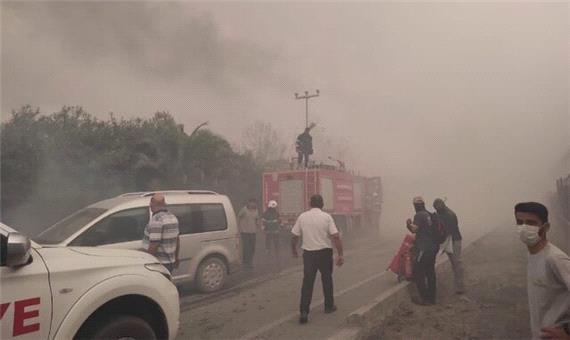 وقوع آتش‌سوزی جنگلی در مناطق جنوبی ترکیه
