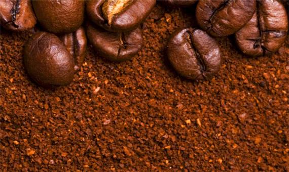 دانستنی ها/ درباره رنگ قهوه ‎ای چه می‎دانید؟