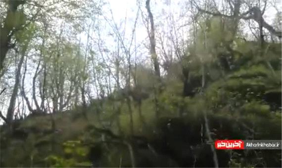 ویدئویی زیبا از یک آبشار در «روستای مزگده»