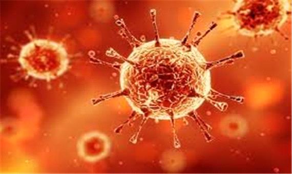 کروناویروس با فریب دادن سیستم ایمنی بدن، خود را نجات می‌دهد