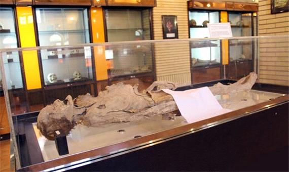 پژوهش برای رمزگشایی از جسد مومیایی در موزه ملی تاریخ پزشکی آغاز شد