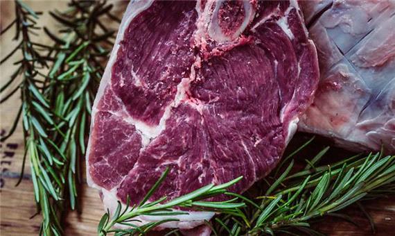 طبع گوشت شتر، مصلحات و خواص بی‌نظیر آن از نظر طب سنتی