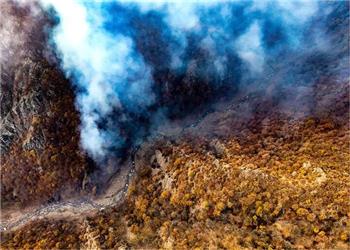 هشدار آتش سوزی جنگل درپی افزایش بی سابقه دما در مازندران