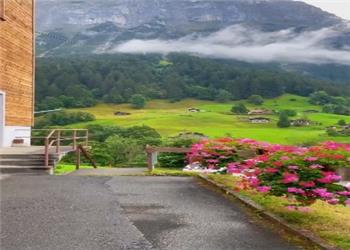 طبیعت زیبای کشور سوئیس