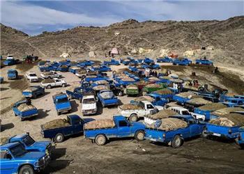 توقیف 42 خودروی شوتی سوخت بر در هرمزگان