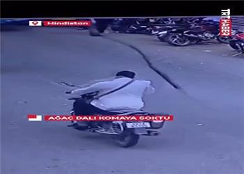 سقوط شاخه خشک درخت بر سر موتورسوار