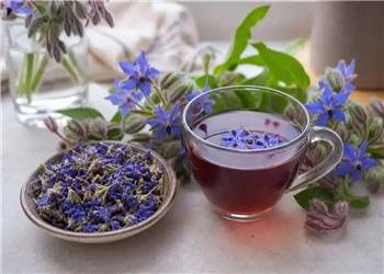 چرا گل گاوزبان حریف اضطراب های ما نمیشود؟
