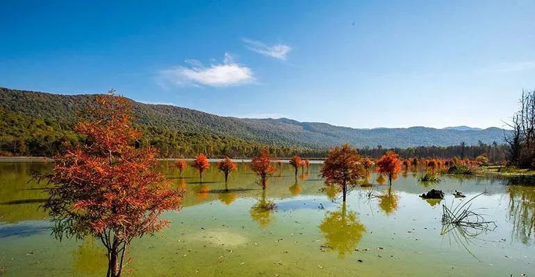 دامنه‌ کوه ازنی؛ از زیباترین جاذبه های مازندران