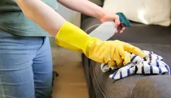 آموزش پاک کردن کَپک از فرش، مبل و لباس