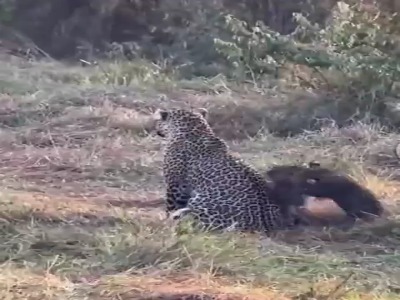 تجربه مشترک تمام مادر‌ها