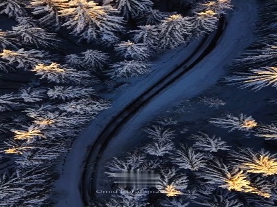 ضیافت برف و جنگل کاج؛ مازندران