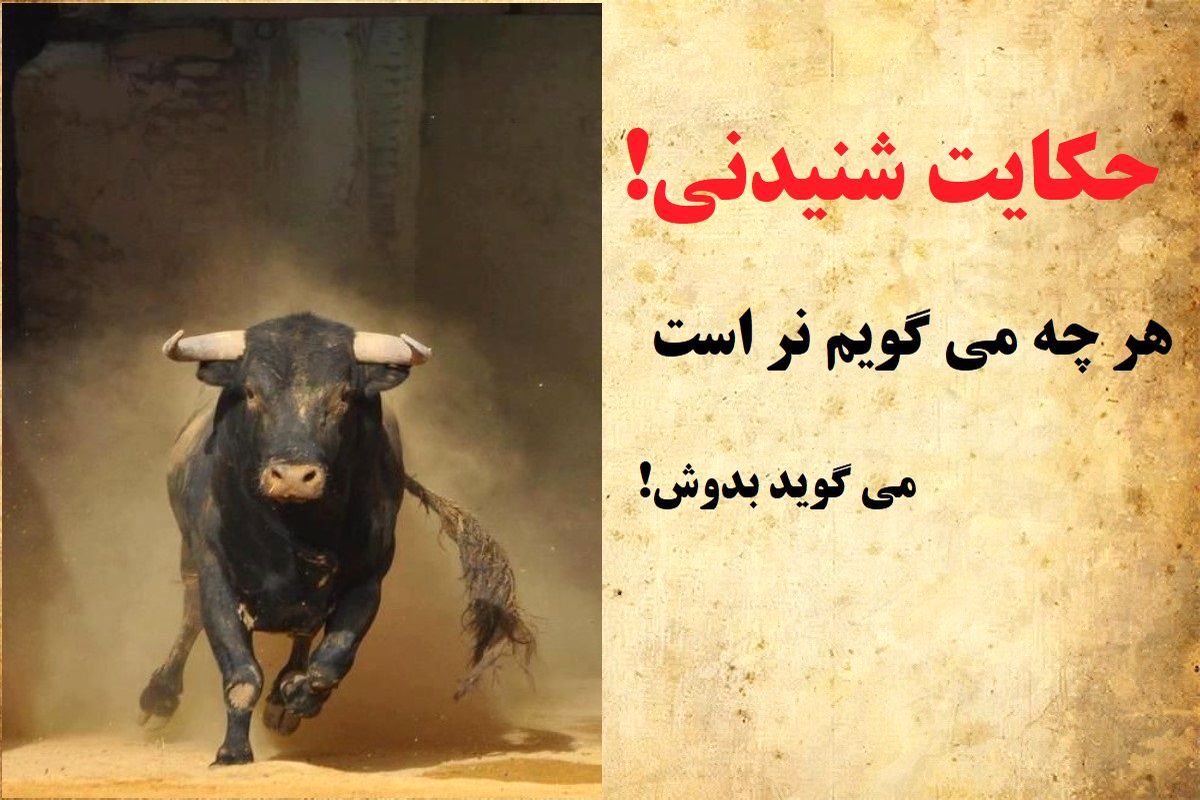 داستان پادشاهی که از گاو نر شیر خواست/ داستان بوجود آمدن ضرب المثل هر چه می گویم نر است می گوید بدوش