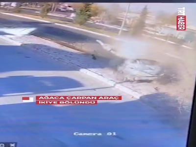 نصف شدن خودرو پس از برخورد شدید با درخت