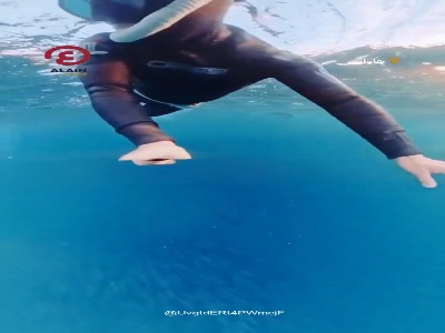 نجات معجزه‌آسای غواص زن از دهان نهنگ عظیم‌الجثه