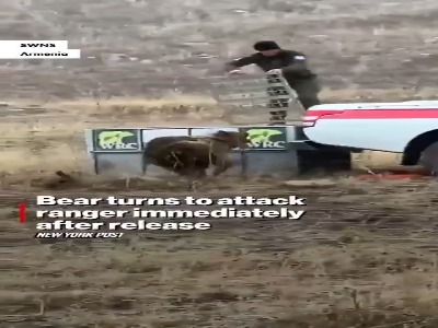 لحظه حمله خرس به محیطبان بعد از آزادسازی در طبیعت!