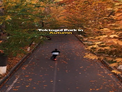 نمایی از یک پارک در چهار فصل