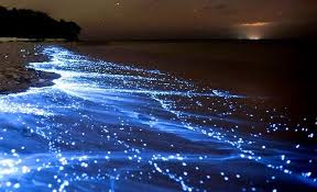 سواحل مسحور کننده جزیره هنگام