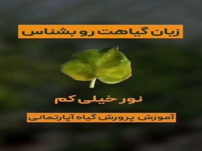 زبان گیاهت رو بشناس