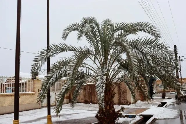 کدام استان ها برفی هستند؟