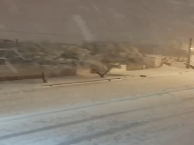 بارش سنگین برف در تربت جام