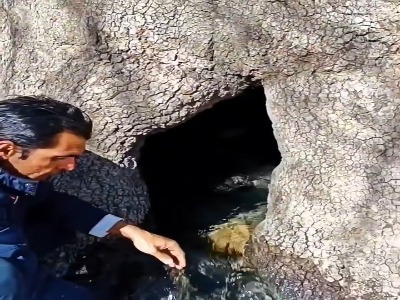 سرزمین افسانه ها عجیب ترین درخت ایران در سرزمین زاگرس_.