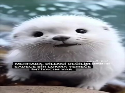 ویدئوی از یک بچه فک بامزه