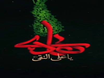 استوری/ یا علی النقی فدای بیرق عزای تو