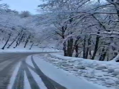 قاب زمستانی اسالم