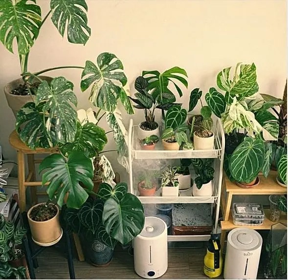 ۱۰ راهکار ساده و عملی برای محافظت از سالمندان در آلودگی هوا