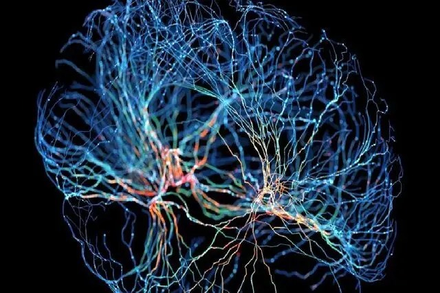 پیوند علوم اعصاب و هوش مصنوعی از طریق نانوکانال‌ها