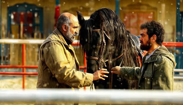 فیلم سینمایی «ناتوردشت» راهی اکران آنلاین شد