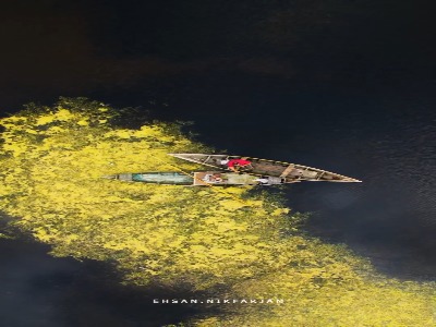 تالاب ها ،سرمایه های ملی و بین الملی