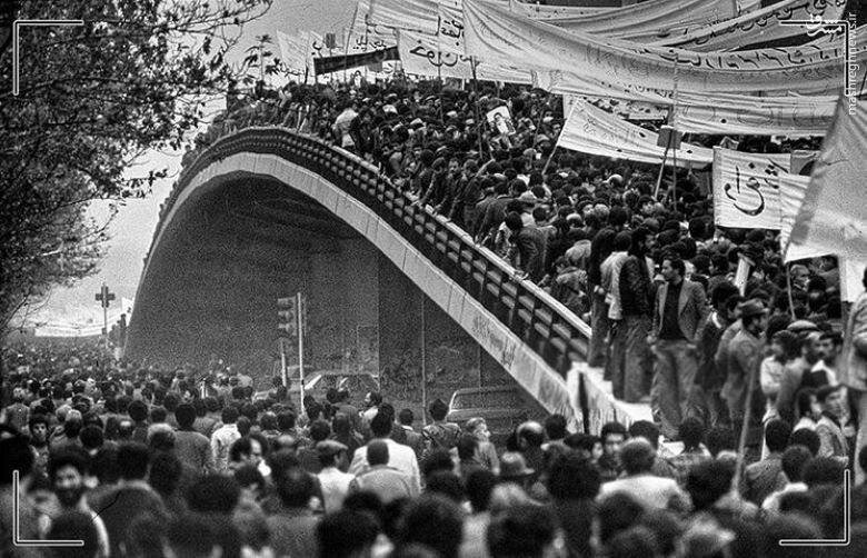 فرو رفتن در دهان نهنگ برای روایت انقلاب/ نظر سیمین دانشور درباره کتاب