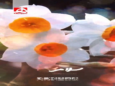 سلام زندگی، سلام عشق من...