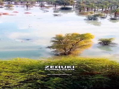 زیبای های تمام نشدی جنوب …