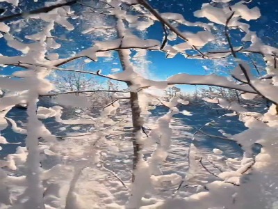 آمریکا، صبح برفی در آلاسکا