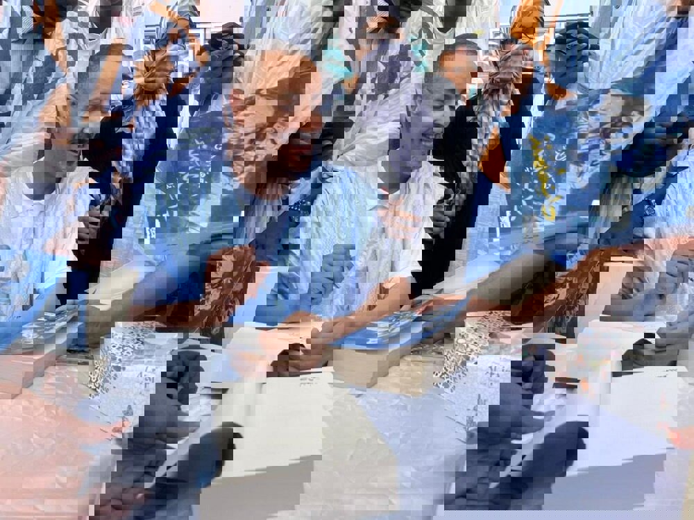 زبان فارسی و عربی برادر دوقلو هستند/ «جاحظ» هم فارسی می‌دانست