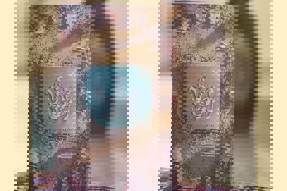 روایتی مکتوب از مفاخر معنوی سرزمین‌های اسلامی/ «تربت ما» منتشر شد