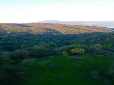 اینجا آبشار آنجلی‌کا مرتفع‌ترین آبشار ایران (با ارتفاع ۲۲۰ متر)