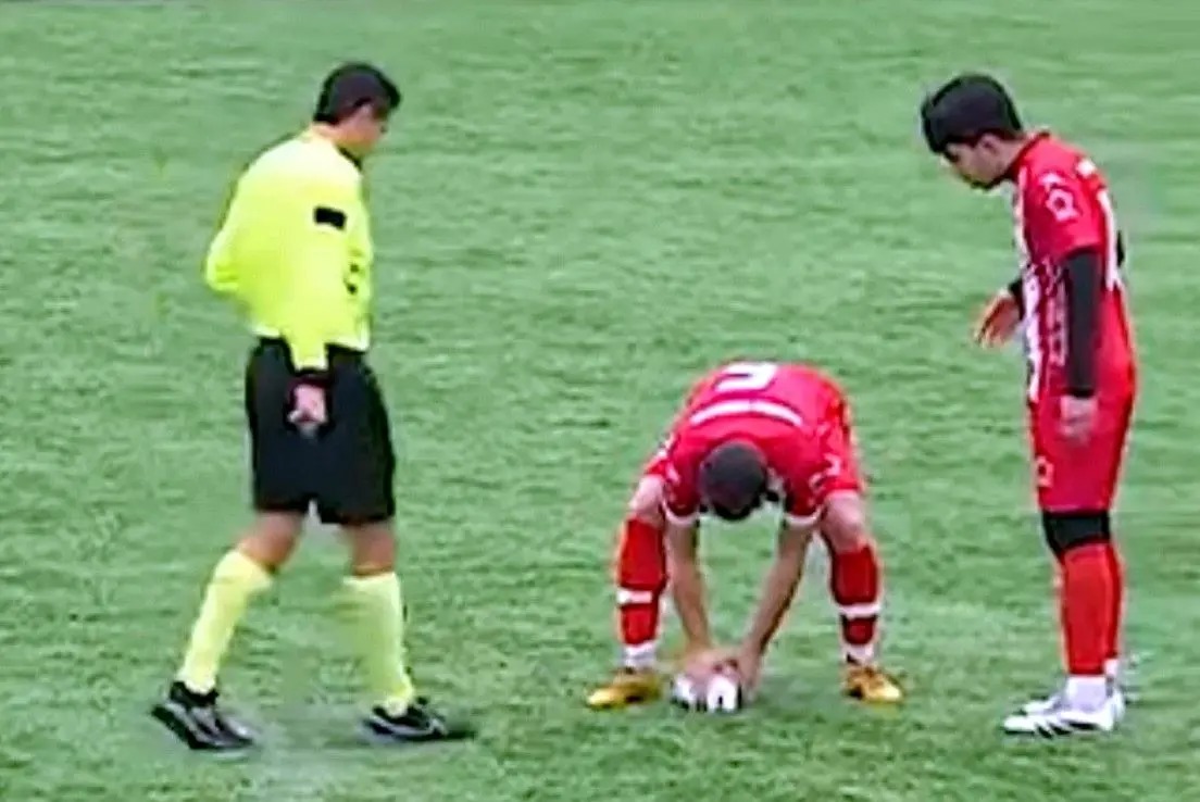 احیای قلبی مرغ دریایی؛ وسط مسابقه فوتبال!