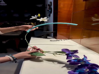 یک ایده خلاقانه؛ ساخت گلدان با شلنگ