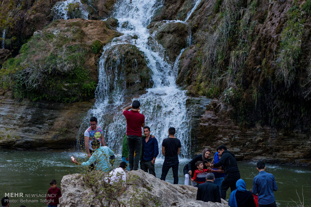 آریا جوان