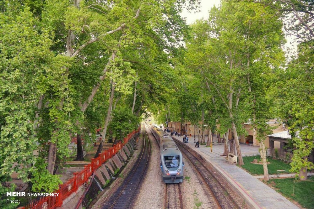 آریا جوان