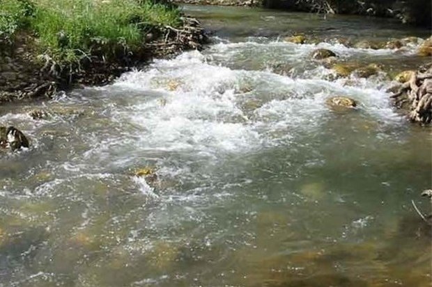 آریا جوان